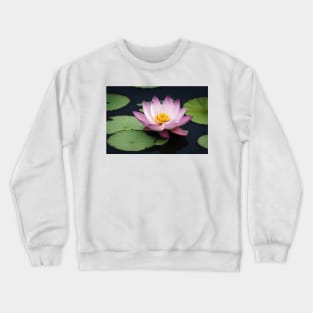 Beautiful lotus flower on river Crewneck Sweatshirt